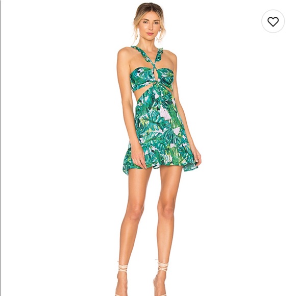Lovers + Friends Dresses & Skirts - Lover’s + Friends Olivia Mini Dress palm print